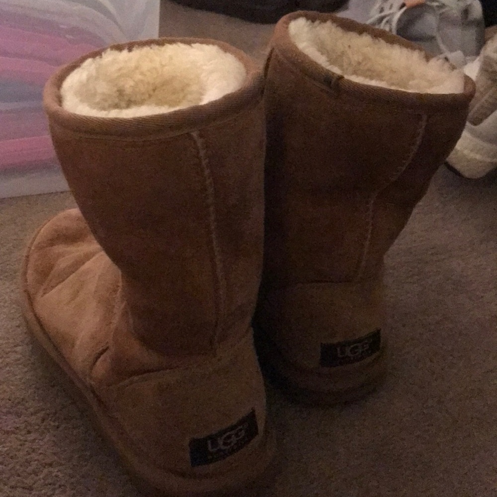 Chestnut Uggs